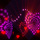 LED